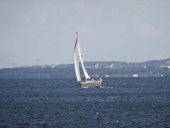 Rowery wodne na Plaży Babie Doły